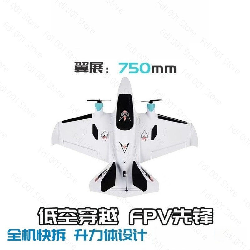 Avion RC à aile fixe FPV à dou - Drone Rc Fpv avis et prix